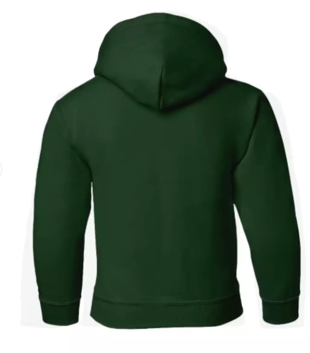 Hooded sweater 18500B kinder