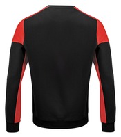 R-NECK Bicolor Trui